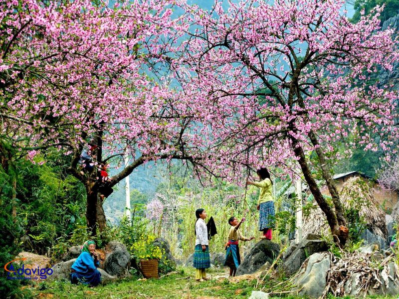 SaPa_thang_12_2