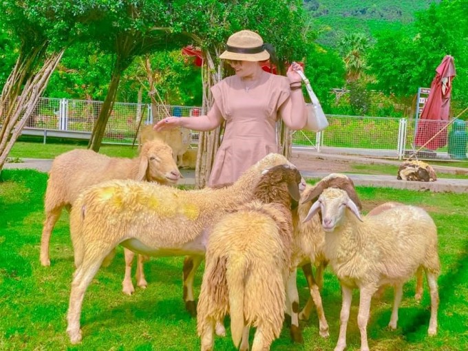 Thảo nguyên cỏ xanh phù hợp cho những buổi picnic cho cả gia đình. Ảnh: Sao Mai