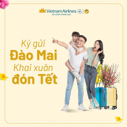 Vietnam_Airlines