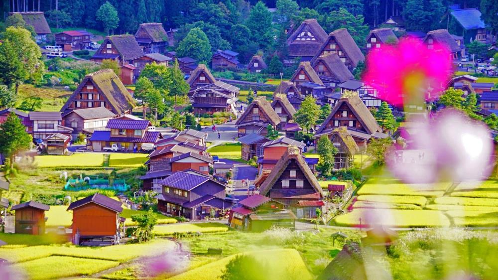 du_lich_Nhat_Ban_7