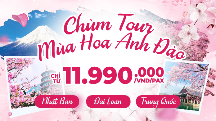 CHÙM TOUR DU XUÂN NGẮM HOA ANH ĐÀO VÙNG ĐÔNG BẮC Á