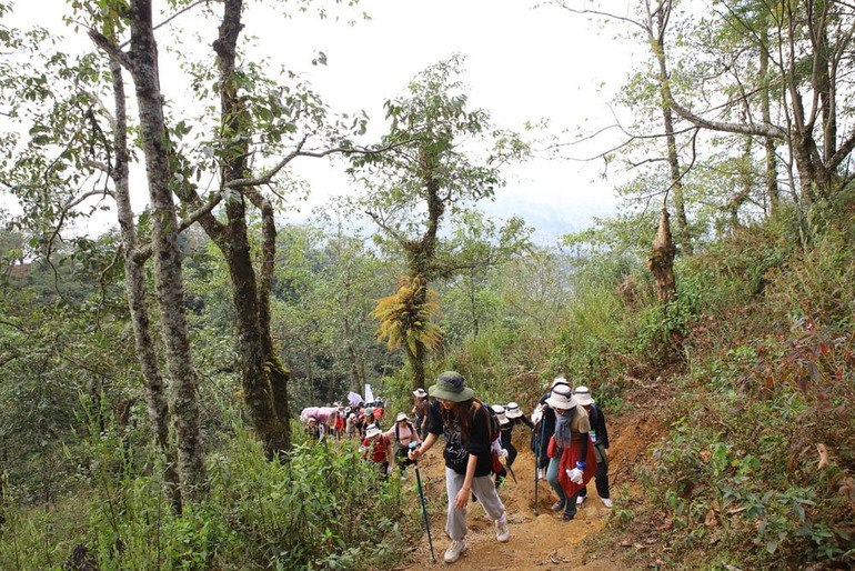 Team building mạo hiểm 