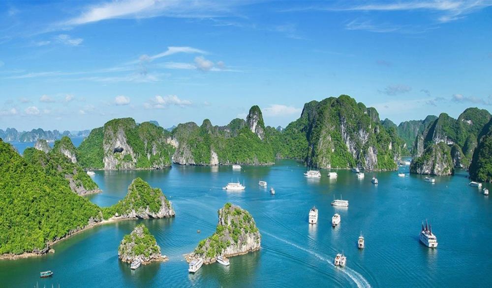 Lý do nên tổ chức team building tại Hạ Long
