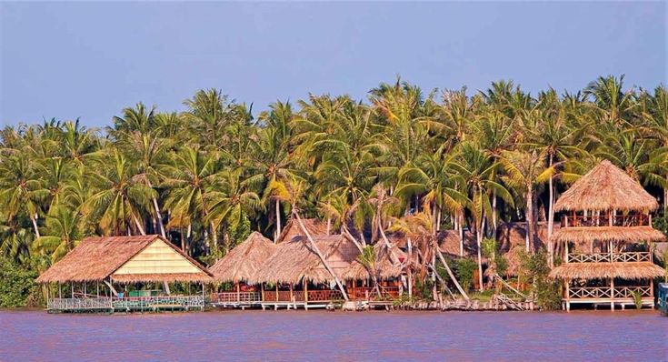 Tham quan trải nghiệm khu du lịch Làng Bè. 