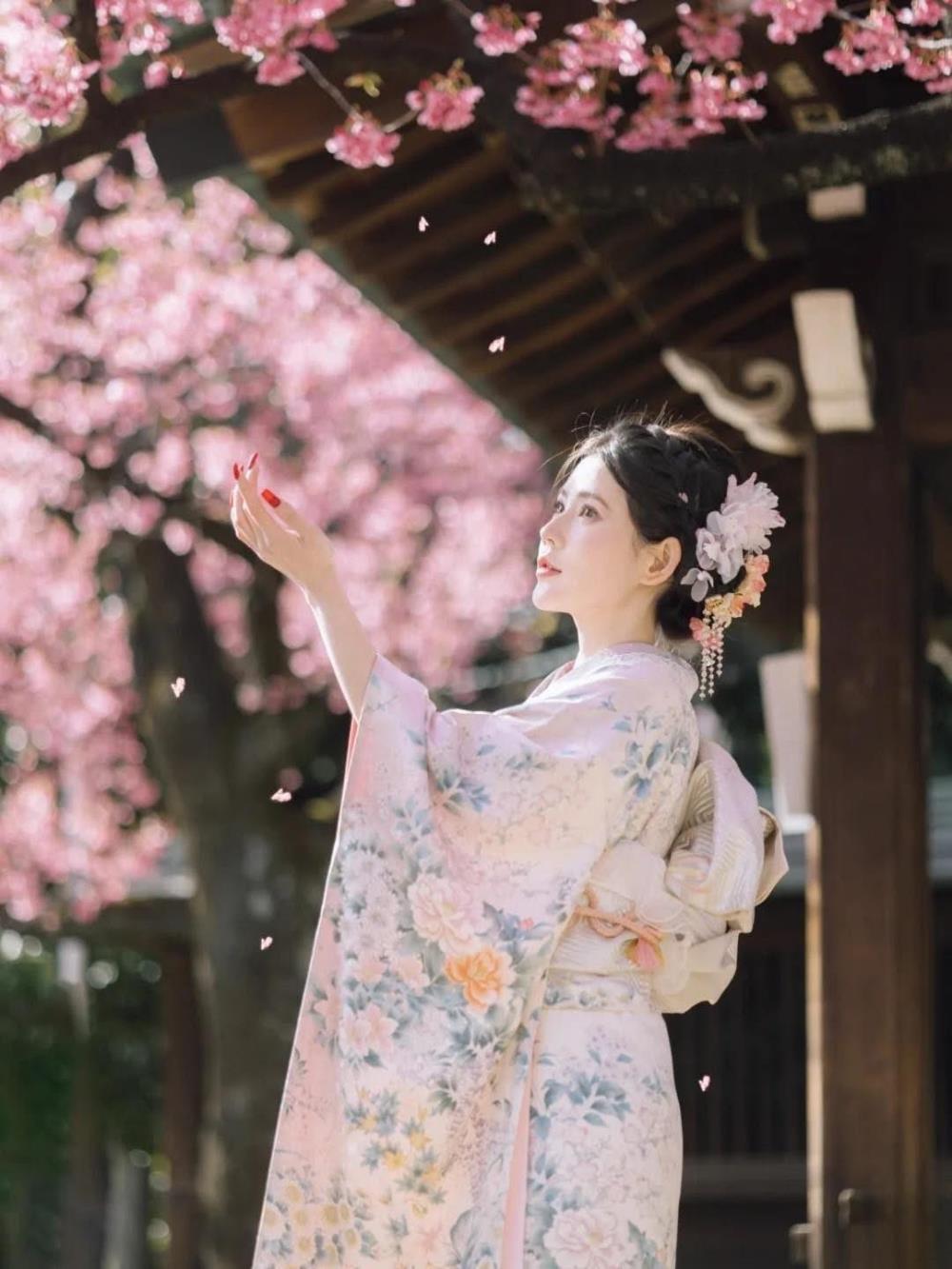 &Yacute; nghĩa hoa anh đ&agrave;o Nhật Bản